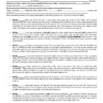 Purchase and Return Policy