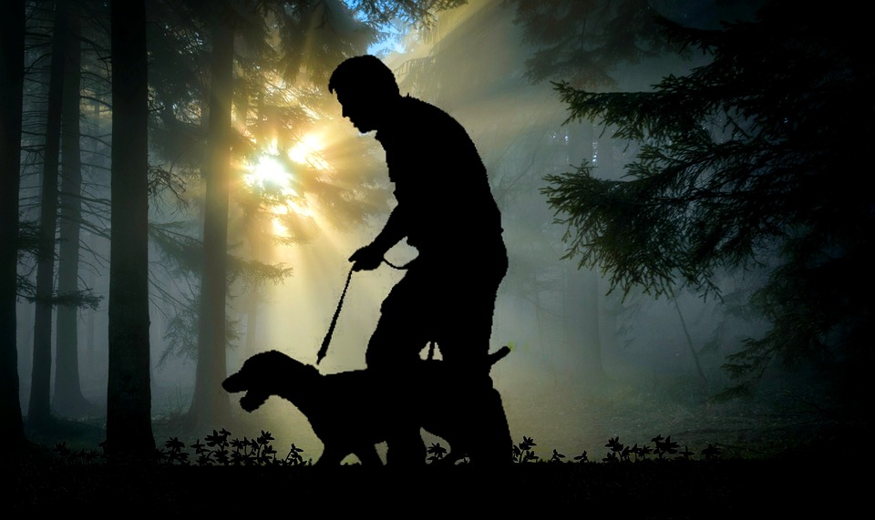 dog-searching